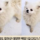 백암1길 이미지