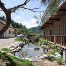 아빠의나무 야영장 이미지