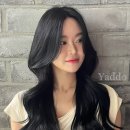 가본헤어 이미지