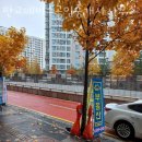 판교에이스공인중개사사무소 이미지