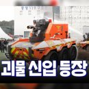 주정차단속-66 이미지