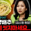 양배추세척법 이미지