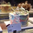 Biscuit 비스퀴 이미지