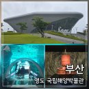 울산해양경찰서(구조대) | 부산 영도 국립해양박물관: 시내버스 가는 방법 전시 볼거리 짐보관 총정리