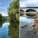 버드모아 이미지