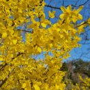 에이스침대의정부점 이미지