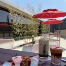 노라포차 | [서산 대형 카페] 5. 3주 차. 템부 후기