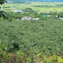 배감농장 이미지