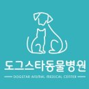 도그스타동물병원 이미지