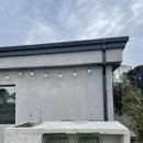 달리야드 이미지