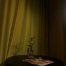용산-450 | 개강후 노는 일상