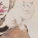 고양이 별 이미지