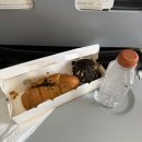 2761 | 에어인디아 국내선 후기 델리-바라나시, 바라나시-자이푸르 (AI1741/9988/2761)