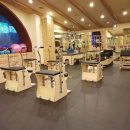 필라테스(취미) 이미지