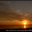 소문난손칼국수집