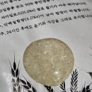 백진주 | 프리미엄 쌀 추천 최고급 단일품종 조선향미 조선백진주 먹어본 후기
