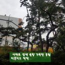 내동목련상가 이미지