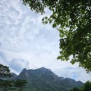 설악궁전식당 이미지