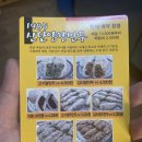 1985 신단양 왕만두 이미지