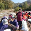 김정순농장 네이버블로그