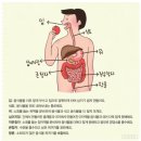 길음만물