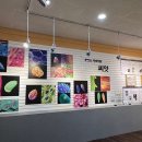 경북대학교 자연사박물관 이미지