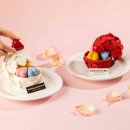 루비프라자 이미지