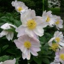 사랑샘유치원 이미지