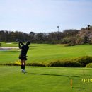 테디벨리골프장 4 | 제주도 골프 추천 잔디좋은 골프장 제주 테디벨리cc 예약 후기