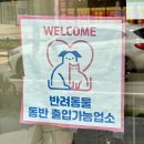 엘리커피 - 동대문구 | [경기] 시흥디저트 분위기 좋은카페, 엘리 시흥배곧점 후기