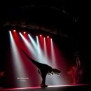 문화회관 | [PLAY] 30개월 아기랑 [ 공룡 애니멀쇼 시즌2 ] 내돈내산 오산문화예술회관 후기