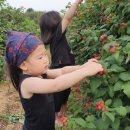 세븐일레븐 고창동호해변점 이미지