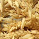 삼계슈퍼 이미지