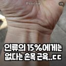 준바오들 손목 근육 있어? ̆̈ 이미지