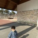 화랑설화마을 스토리 | [영천 아이와 가볼만한곳] 킥보드 필수! 화랑설화마을 실제 이용 후기 (실내 놀이터 나이 제한 &amp; 꿀팁)