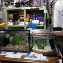 코오롱카서비스 이미지