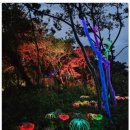 진하공인중개사사무소 이미지