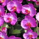 솔기아파트 이미지