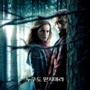 헤리포터인 이미지