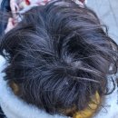 어진동_청암빌딩 앞 | [천안/백석동] 20개월 아기 파마 후기｜첫 파마 시기 고민하다 다녀온 뮤렌살롱