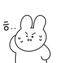 올리코(all RICO) 이미지