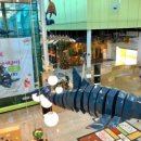 베스트아이 이미지