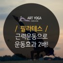 아트필라테스 - 강남구 도산대로 413 | 아트필라테스