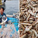 해운호수산 이미지