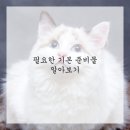 즐거운 유화 이미지