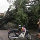 Re:Freak storm hits Ipoh 이미지