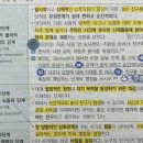 Re: 각론 1 사회 519p 셀만 우정 발달 단계 이미지