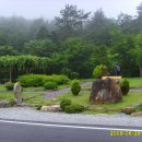 북일면 초등학교  오소재 이미지