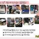 펫에어라인