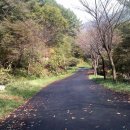 치악산자연휴양림 이미지